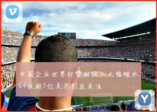 中国企业世界杯赞助投入大幅缩水64仅超5亿美元引发关注