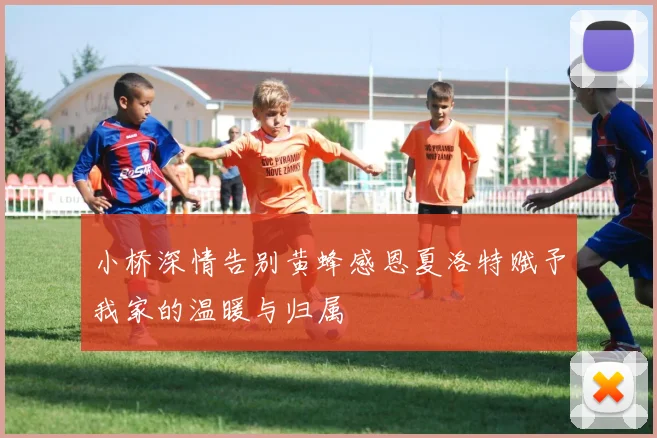 小桥深情告别黄蜂感恩夏洛特赋予我家的温暖与归属